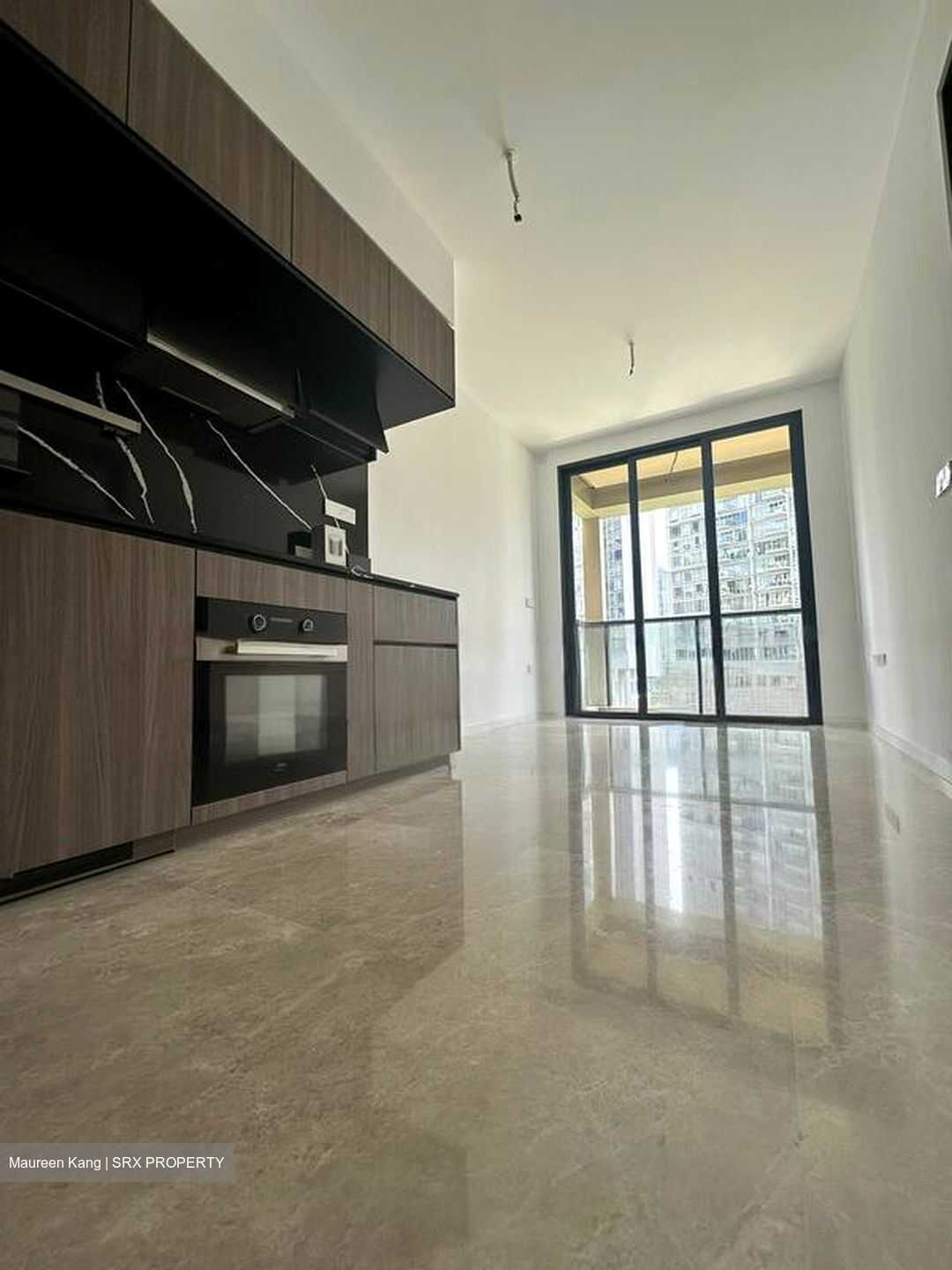 Irwell Hill Residences (D9), Apartment #458198081